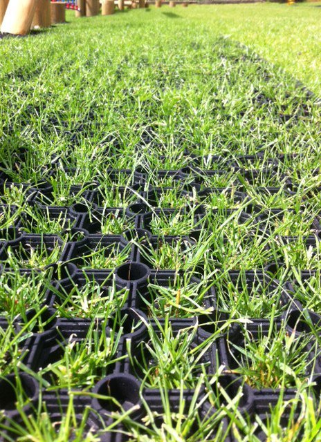 grass-through-mat